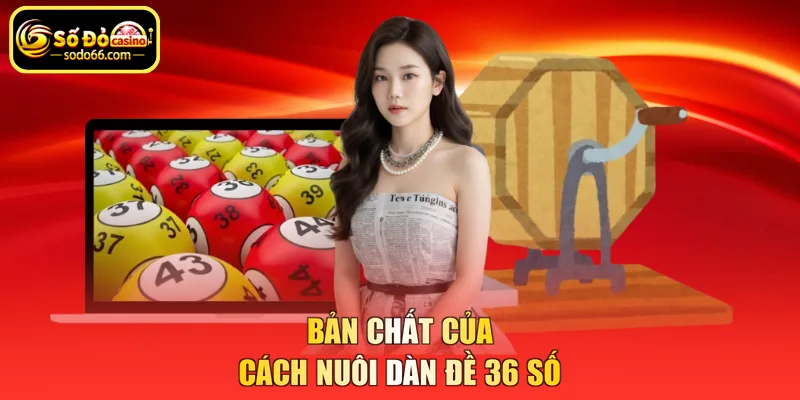 Bản chất của cách nuôi dàn đề 36 số