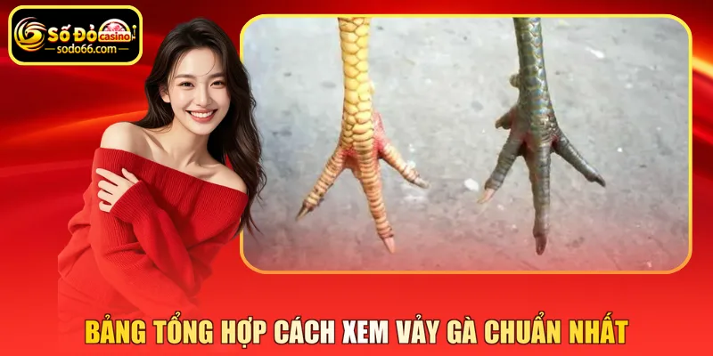 Bảng tổng hợp cách xem vảy gà chuẩn nhất