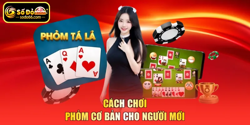 Cách chơi phỏm cơ bản cho người mới