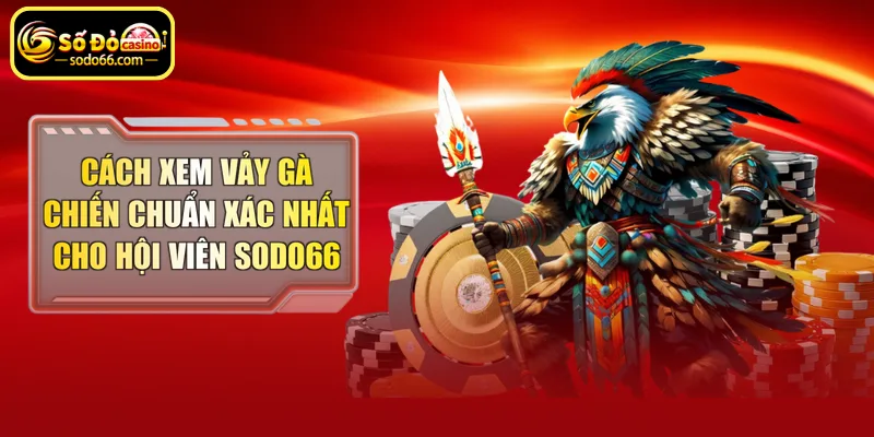 Cách xem vảy gà chiến chuẩn xác nhất cho hội viên Sodo66