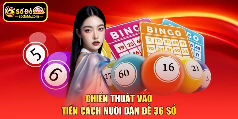 Chiến thuật vào tiền cách nuôi dàn đề 36 số