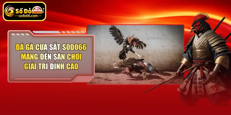 Đá gà cựa sắt Sodo66 mang đến sân chơi giải trí đỉnh cao