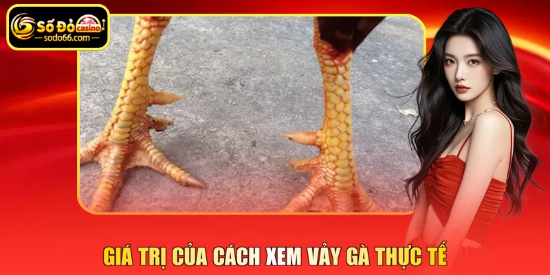 Giá trị của cách xem vảy gà thực tế