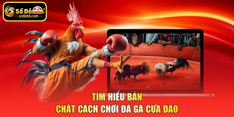 Tìm hiểu bản chất cách chơi đá gà cựa dao