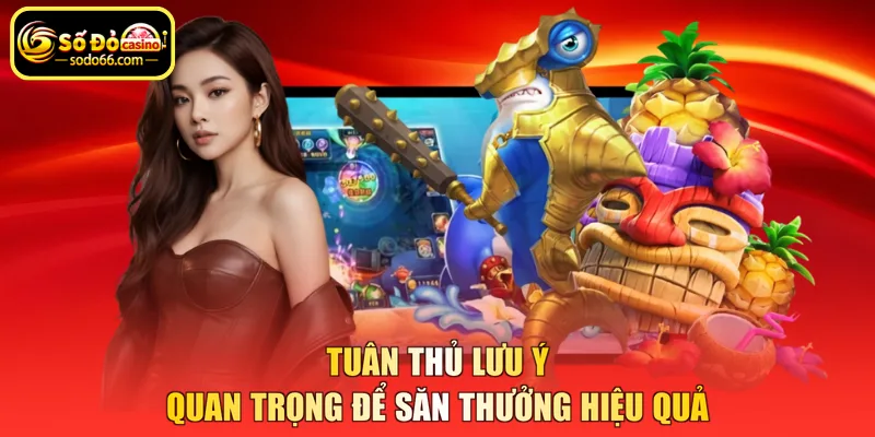 Tuân thủ lưu ý quan trọng để săn thưởng hiệu quả