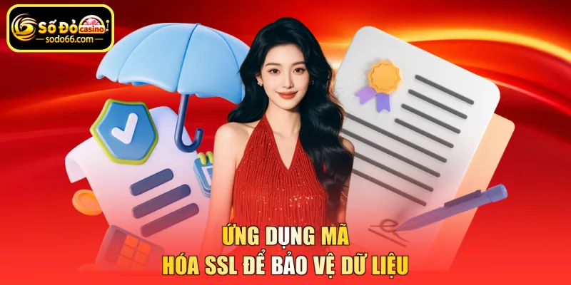 Ứng dụng mã hóa SSL để bảo vệ dữ liệu